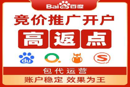 搜索引擎优化（SEO）与竞价广告（SEM）的对比案例